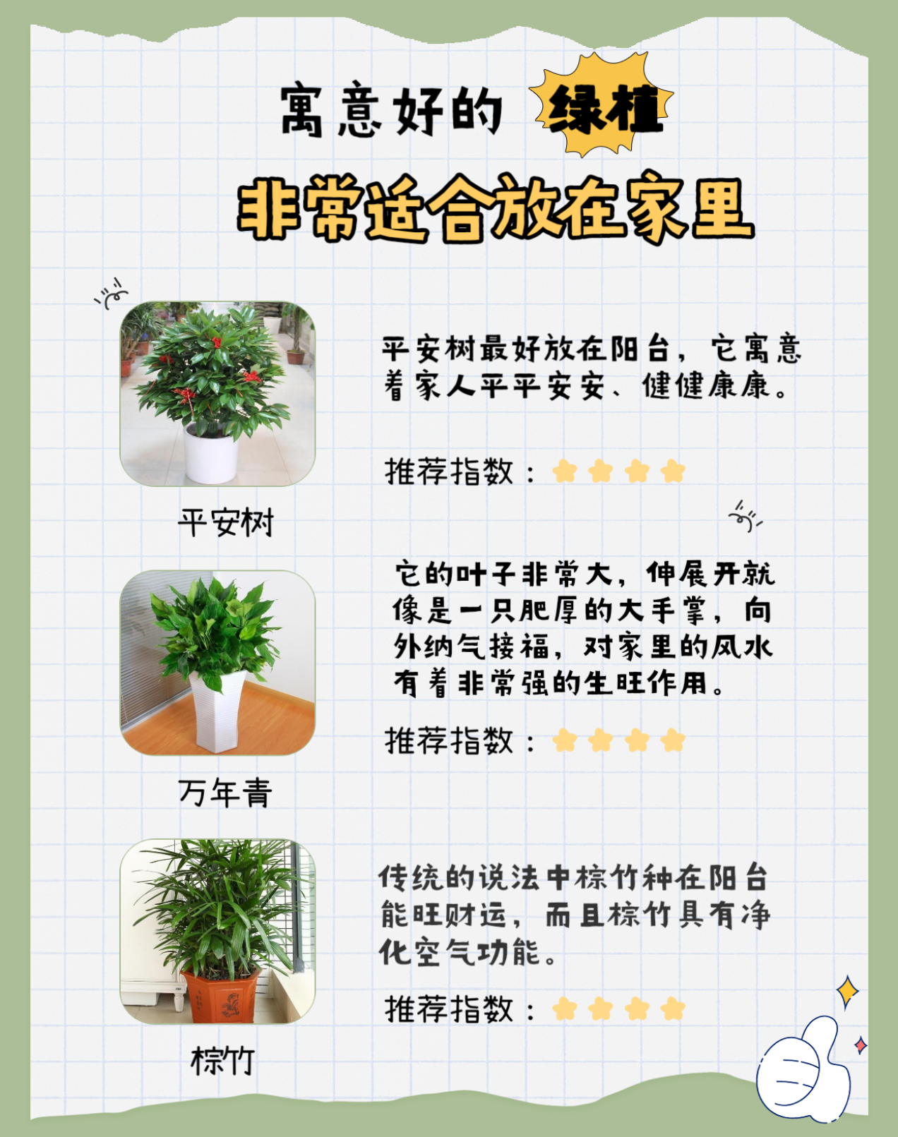 金迪木门