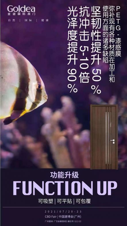 金迪木门